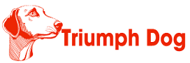 Triumph Dog